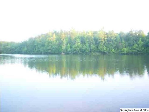 MARSH MOUNTAIN RD 223 AC