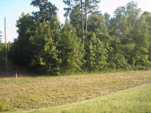 7362 Hwy 98 West
