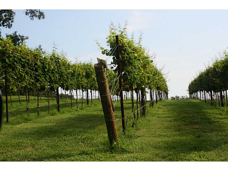 2 Strada Del Vino