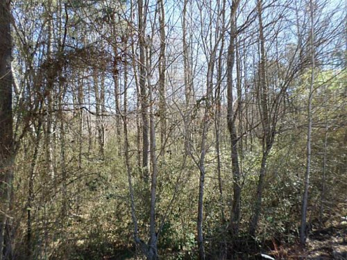 1981 Mount Zion Road