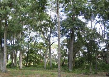 Lot 25 Oakview Subdivision Apn R510