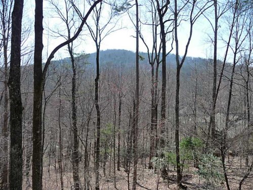66 Crested Fern Lane