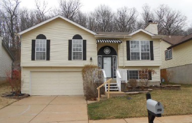 441 Elm Crossing Ct