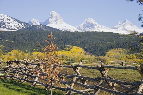 2010 Snow Crest Ranch Dr.