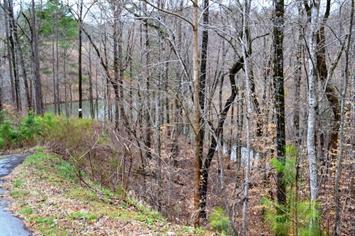 Cliffs Fs Towne Landing Lt 22