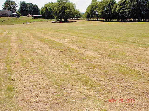 lot 8 Judson Road