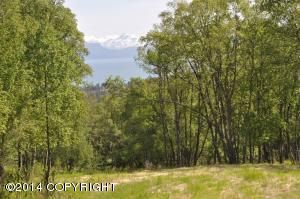 L30 Golden Plover Avenue