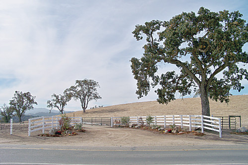 955 Templeton Road