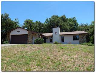 13066 Fish Cove Dr