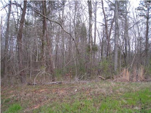 260 Lannes Dr.