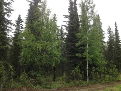 L3 B2 Ciechanski Road