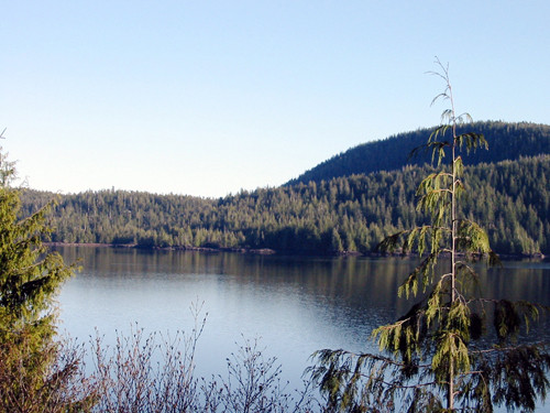 11.5 Mile South Tongas Highway