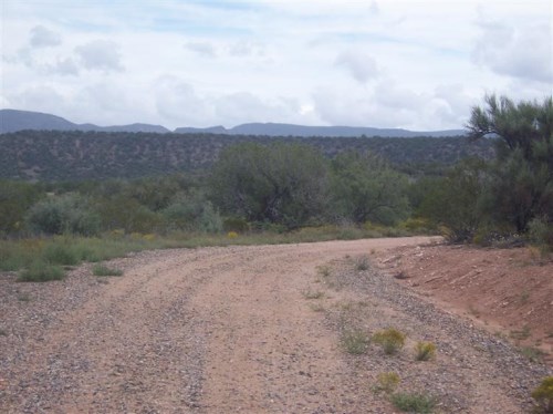 0 off Orlandi Trail
