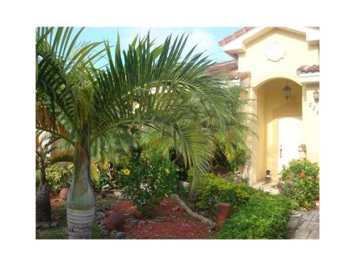 22641 SW 103 CT