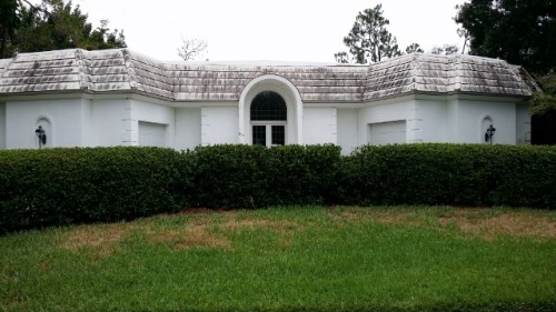 950 Bald Eagle Drive #a53