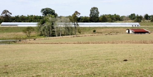 893 County Rd 21