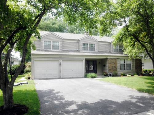 1429 Lark