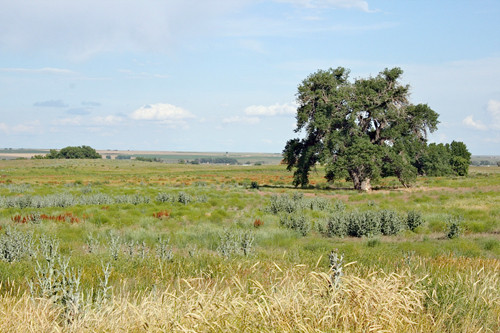 18510 County Road 39