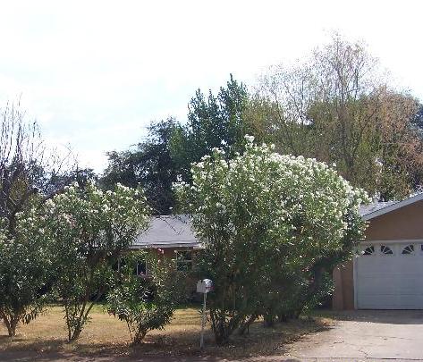 3445 Alexander Dr