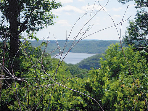 9.04 AC SILVER VIEW LANE