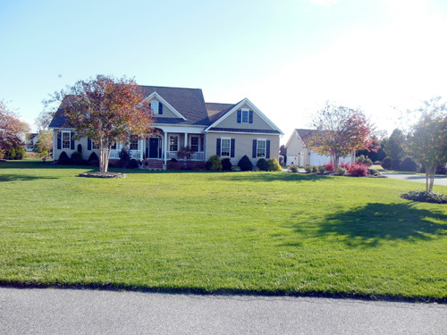 14 LEWIS DR