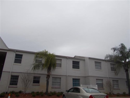 7210 N Manhattan Ave 2523
