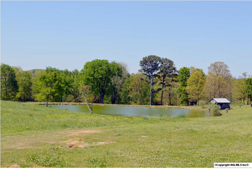535 Lottie Martin Road