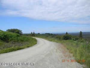 Tr. 1 Diamond Ridge Road
