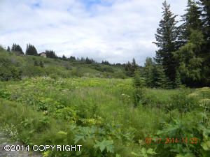 L42 Fireweed Avenue