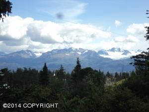 L41A Mountain View Court