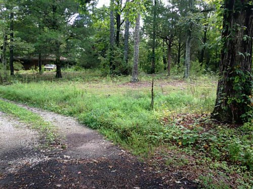 1387 Tunnel Hill Rd.