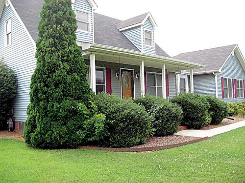 43 Harbin Road
