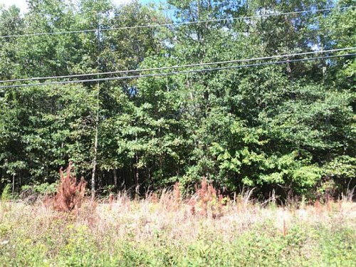 0 Cliff Nelson Road