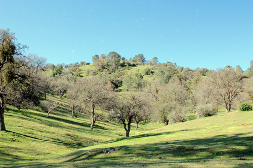 27803 Woodford Tehachapi Road