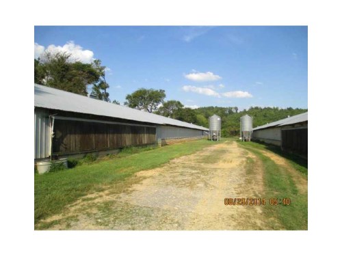 3860 Keown Lane