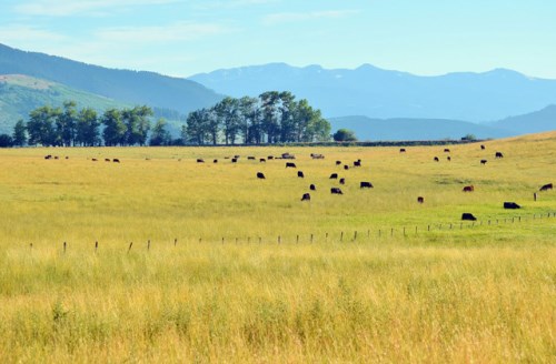 Parcel 5 - 7 Ranges Ranch