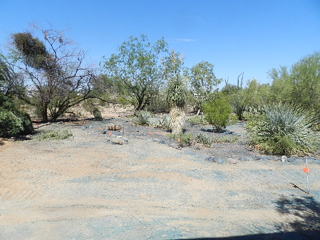 6505 N Hot Desert Trail