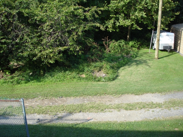 71 Balfour Ave
