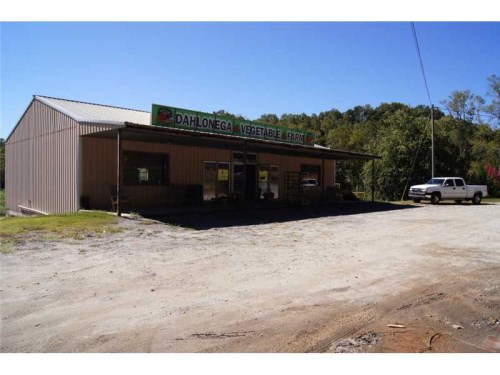 2772 Highway 19 N
