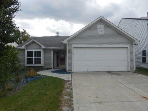 799 Scotch Pine Dr