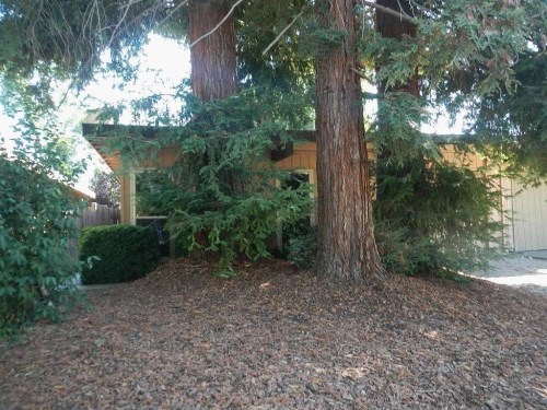 9 Blue Heron Court