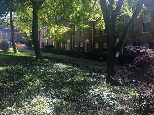 Unit D - 155 N River Drive