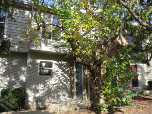 4962 Dartmouth Cour