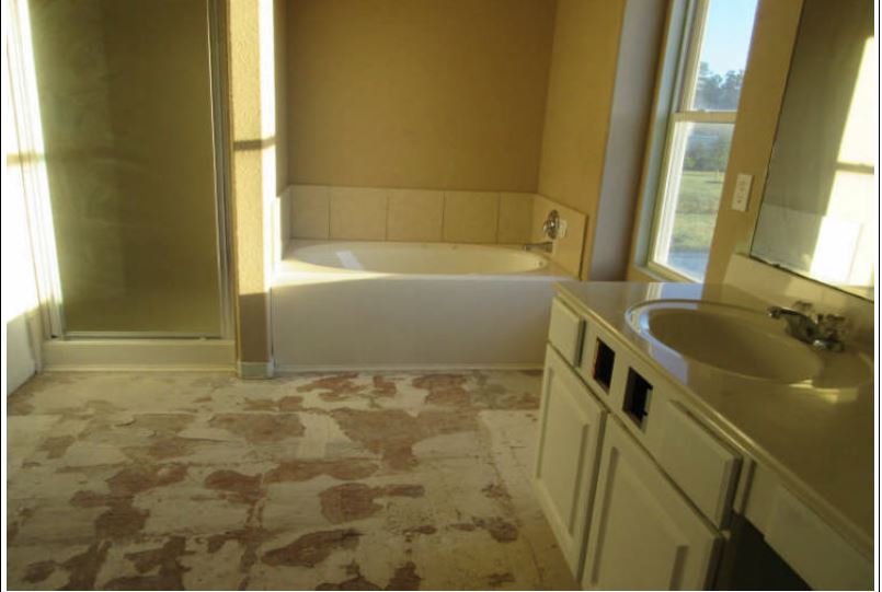 11015 Dahlia Vale Walk