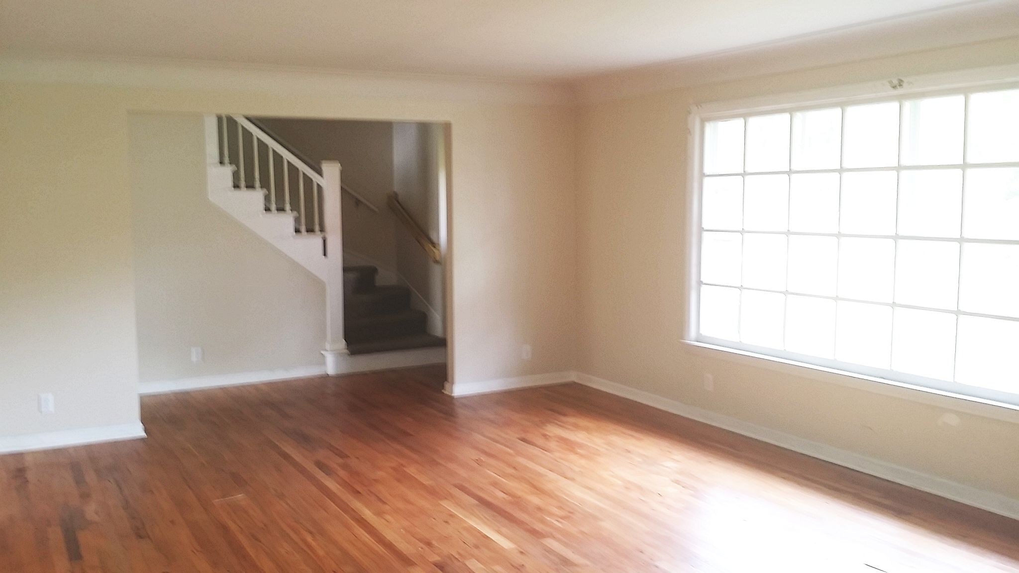 3365 Elmwood Dr