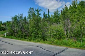 L8 B2 Southpark Bluff Drive