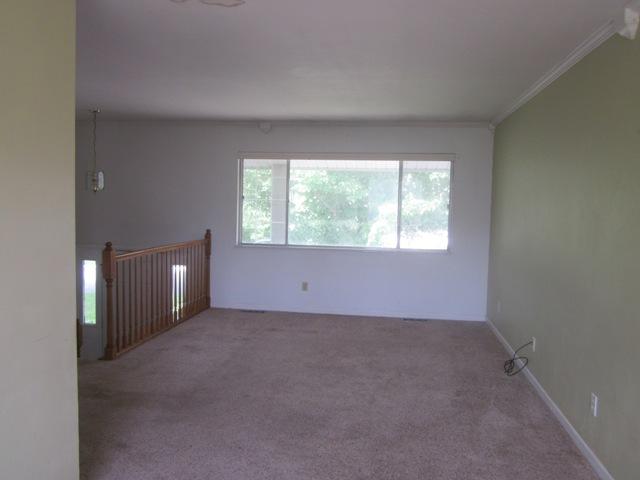 29 Carpenter Dr