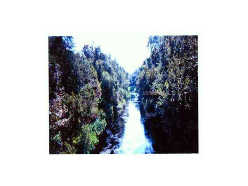 0 COUNTY RD 48 ROAD