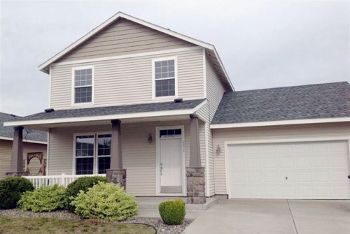 4615 Appaloosa