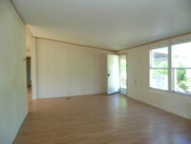 89 Hidden Forest Dr